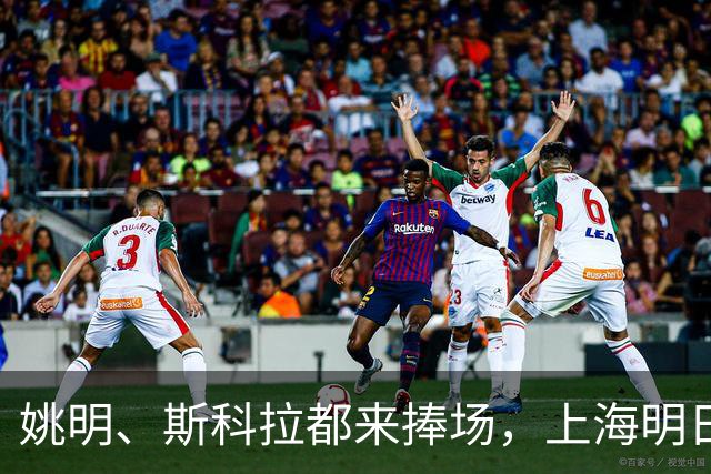 姚明、斯科拉都来捧场，上海明日之星篮球争冠赛有何魔力？